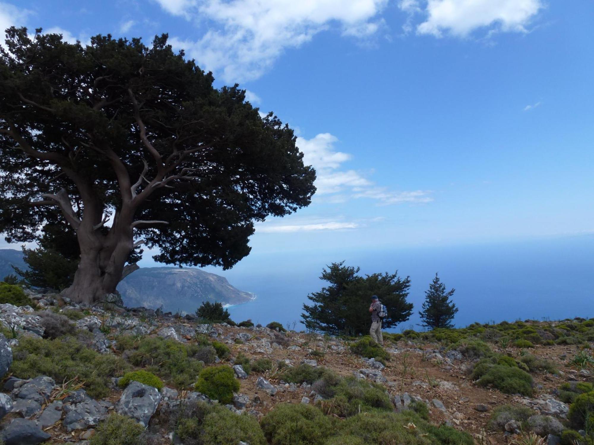 Apartmán Calypso Agia Roumeli Exteriér fotografie